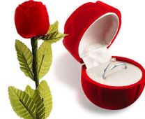 hoa hồng hộp nhẫn-ảo thuật tình yêu