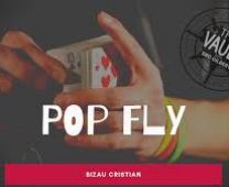 pop fly by bizau cristian